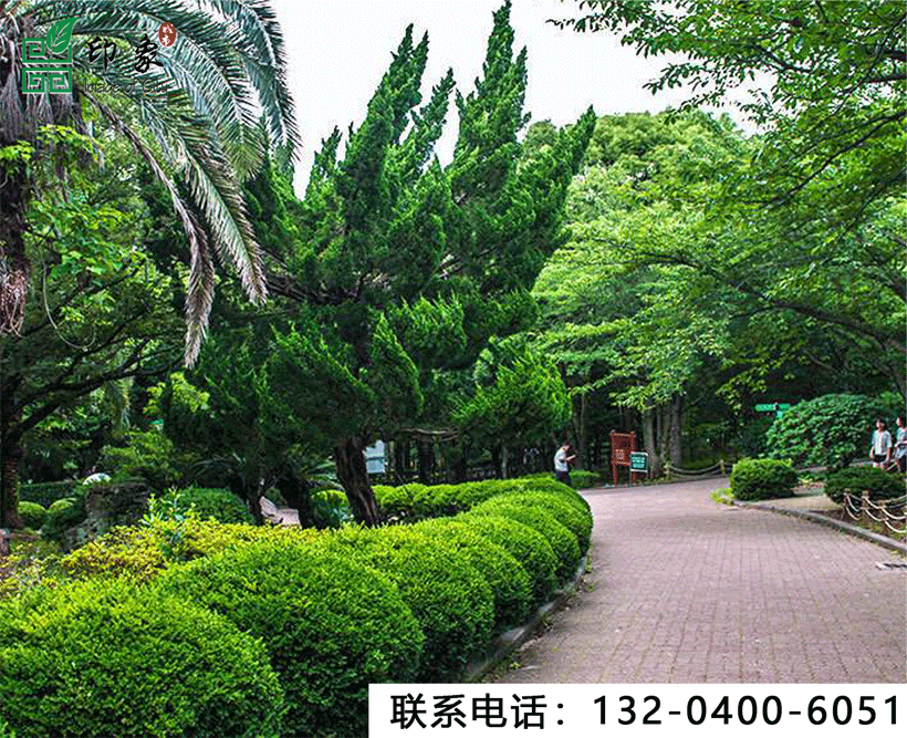 園林綠化景觀