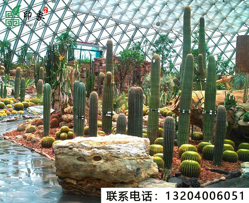 特色植物園施工
