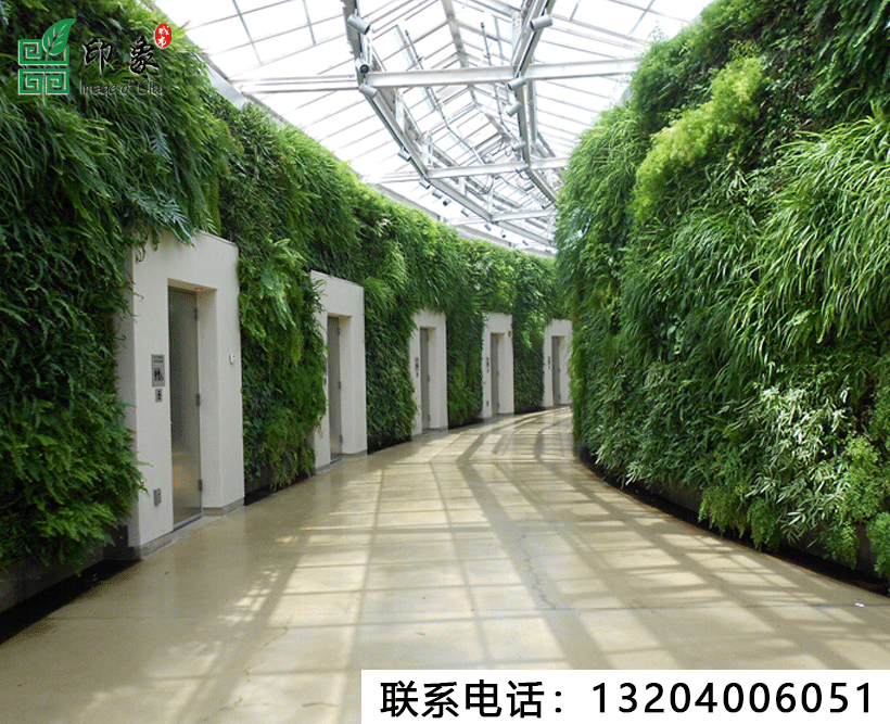 植物墻