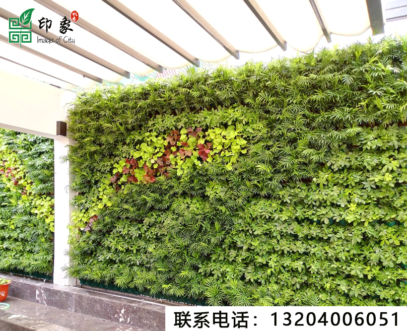 植物墻