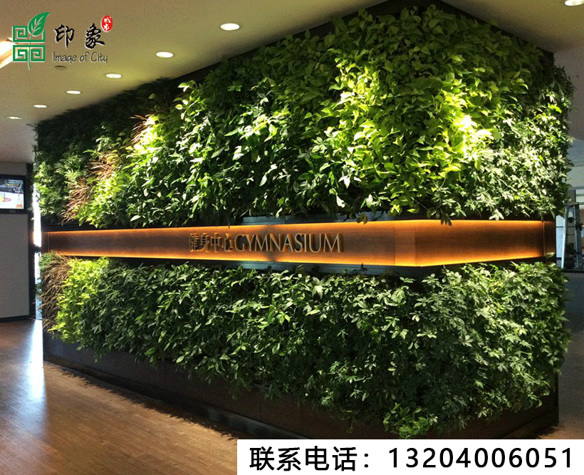 植物墻