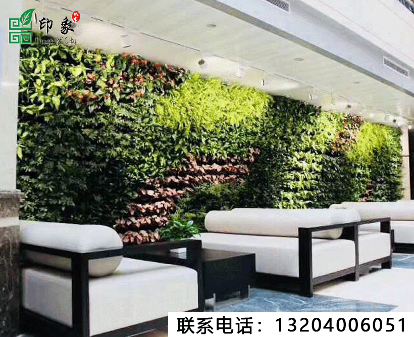 植物墻