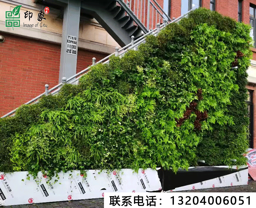 植物墻