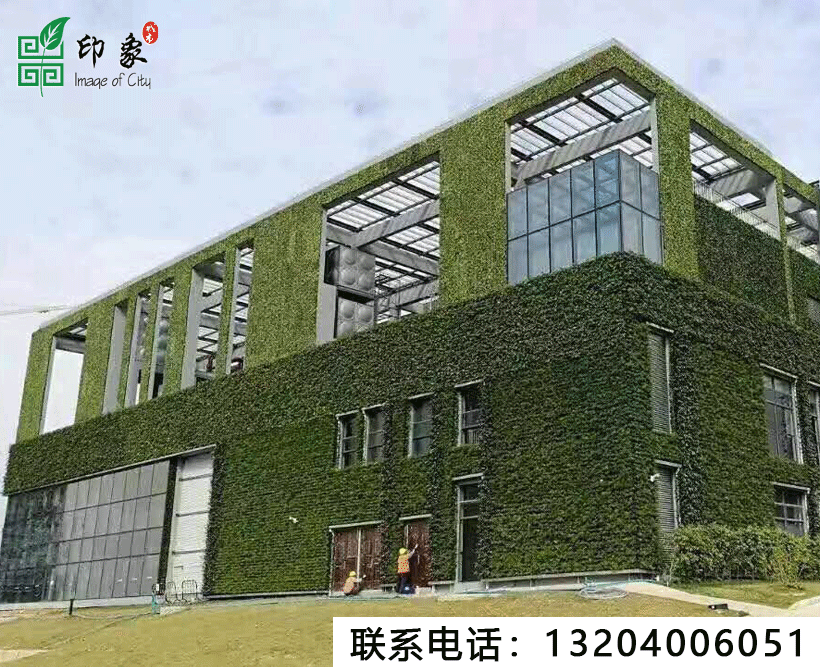 植物墻