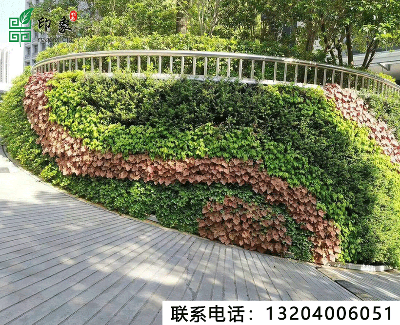 植物墻