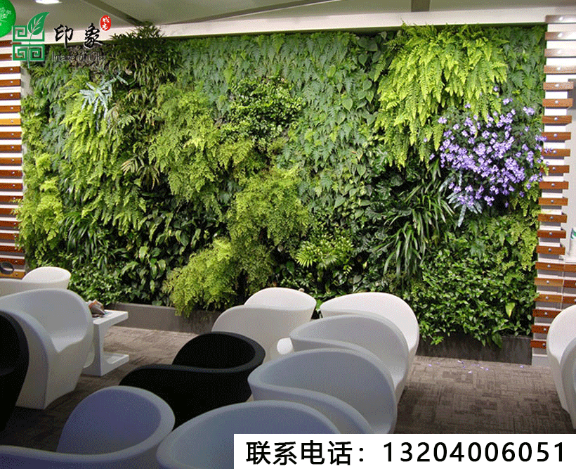 植物墻