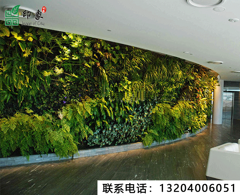 植物墻