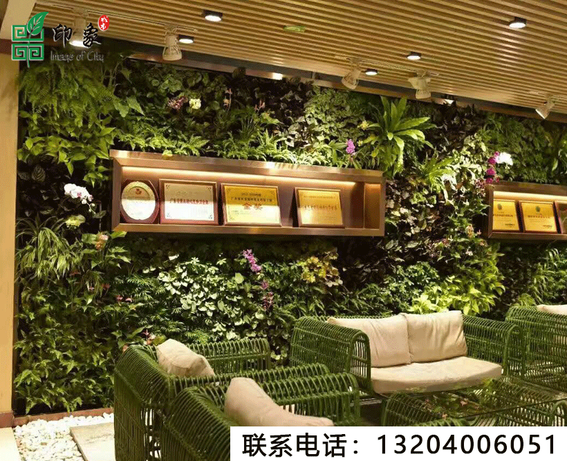 植物墻
